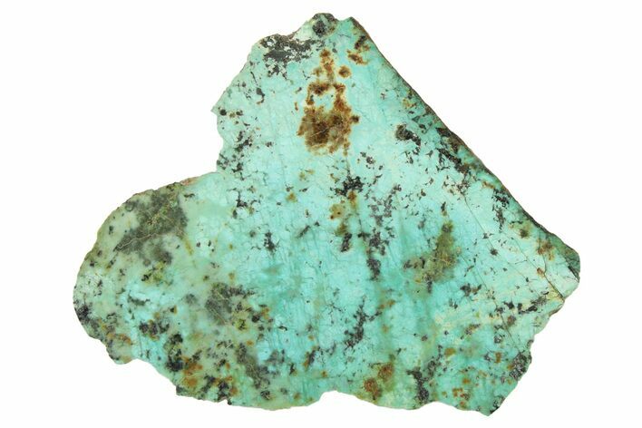 Bright Blue Apatite (Fluorapatite) Slab - Madagascar #338137